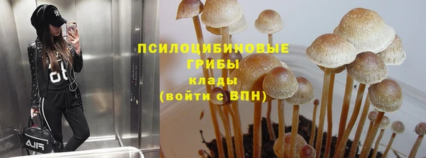 твердый Кулебаки