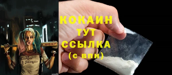 твердый Кулебаки