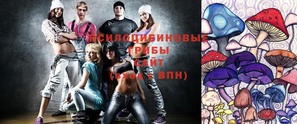 ПСИЛОЦИБИНОВЫЕ ГРИБЫ Куйбышев