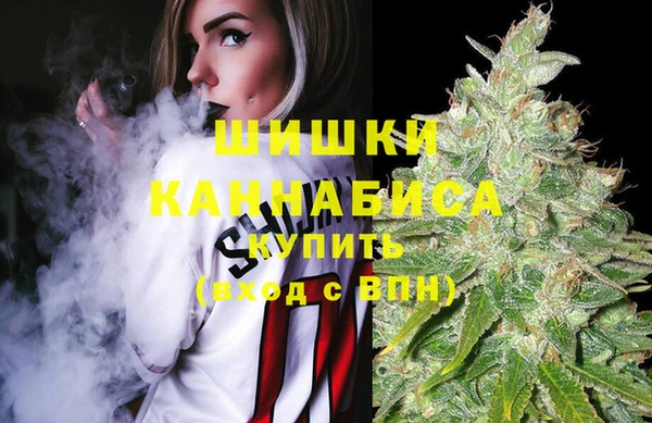 ПСИЛОЦИБИНОВЫЕ ГРИБЫ Куйбышев