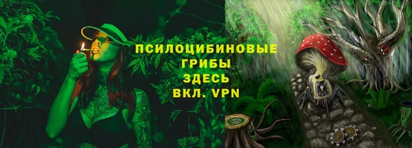 первитин Кукмор