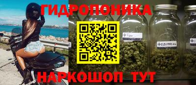 сатива Краснознаменск
