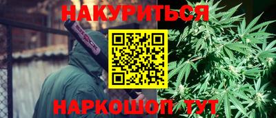 сатива Краснознаменск