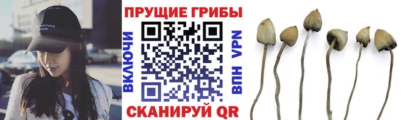 МЕГА вход  Туапсе  Псилоцибиновые грибы мицелий  цены наркотик 